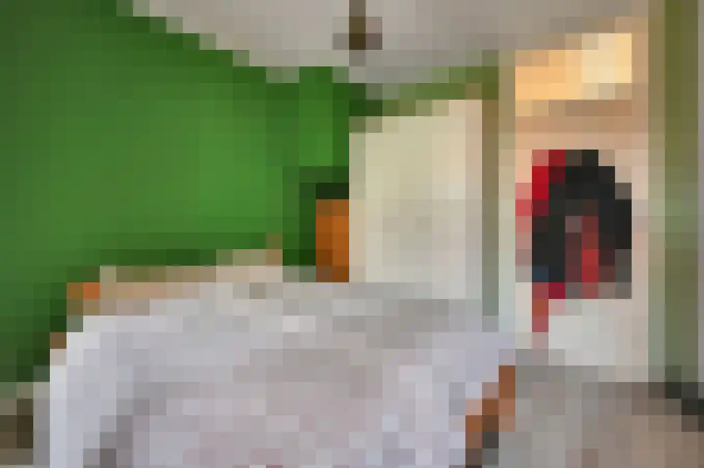 van Naeltwijckstraat 123 Voorburg thumbnail 31