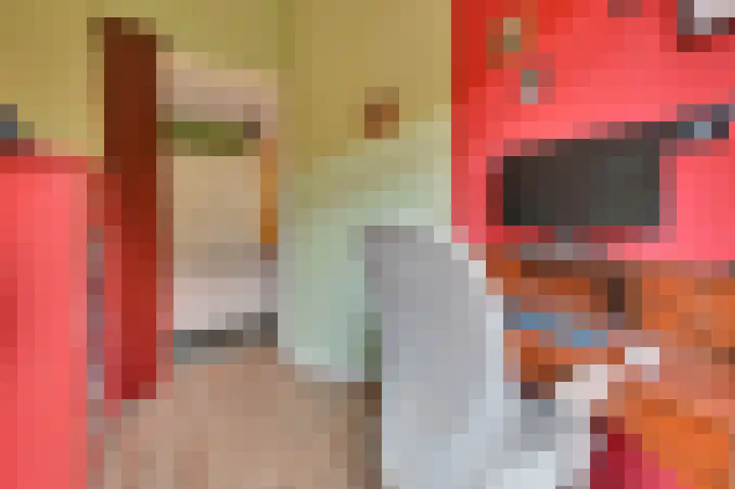 van Naeltwijckstraat 123 Voorburg thumbnail 33