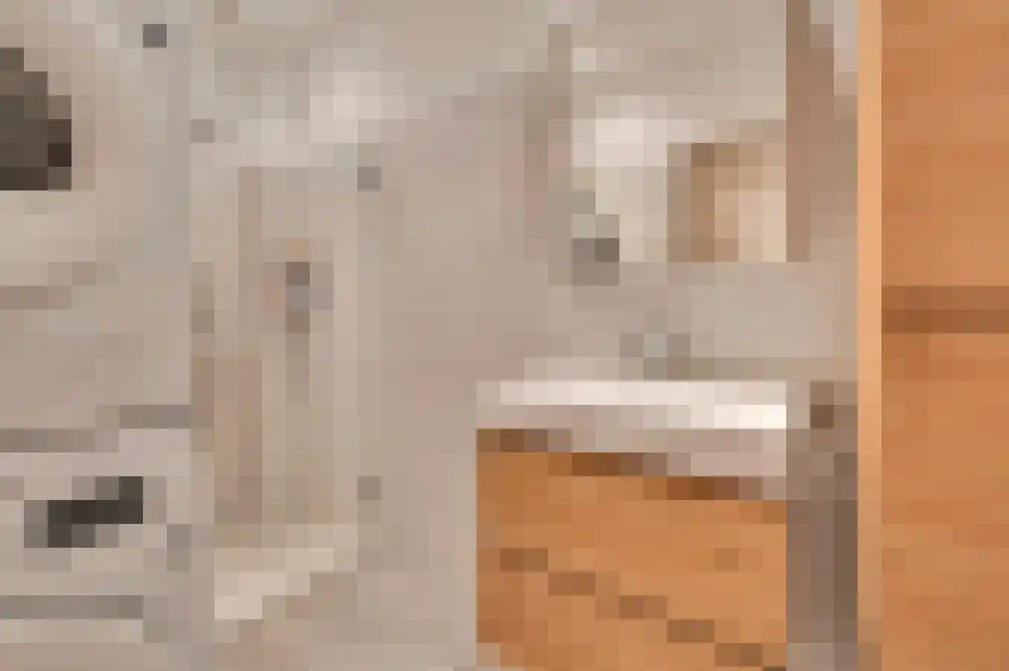 van Naeltwijckstraat 123 Voorburg thumbnail 34