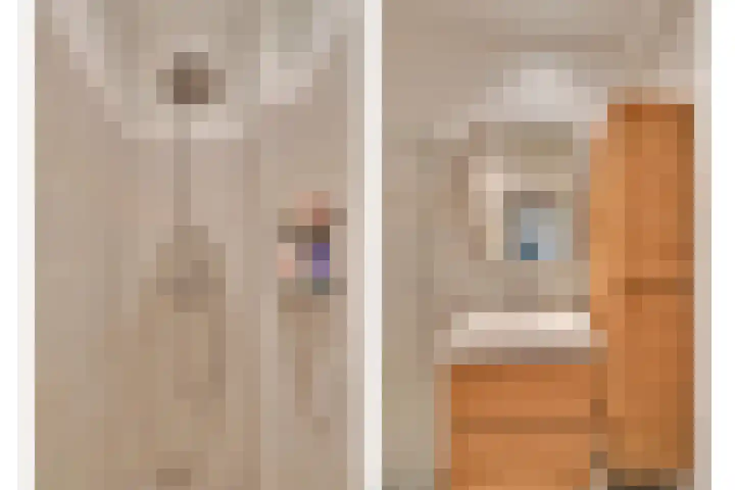 van Naeltwijckstraat 123 Voorburg thumbnail 35