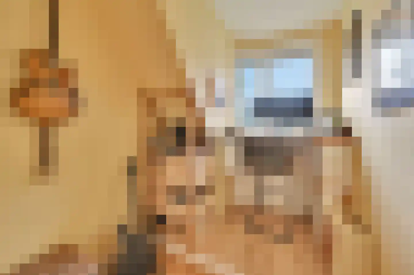 van Naeltwijckstraat 123 Voorburg thumbnail 36