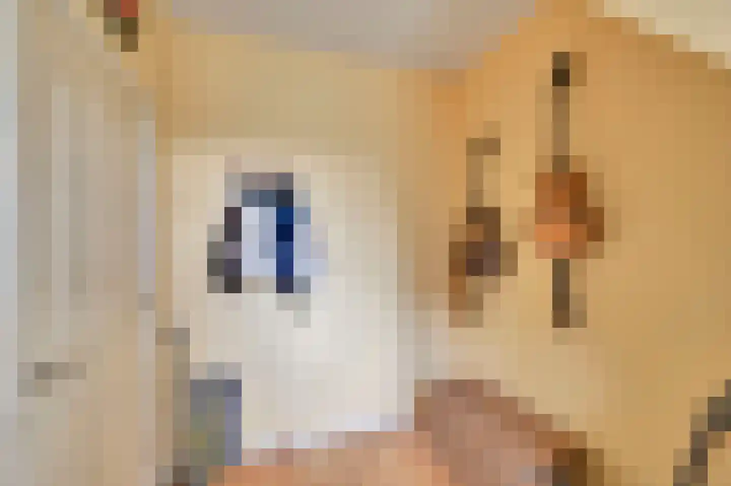 van Naeltwijckstraat 123 Voorburg thumbnail 37