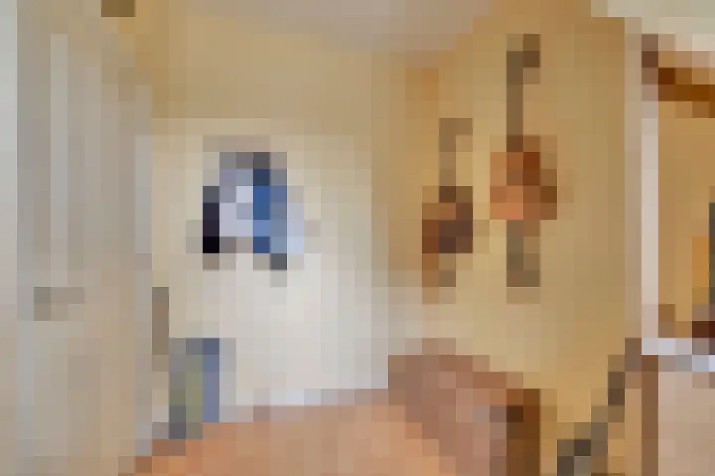 van Naeltwijckstraat 123 Voorburg thumbnail 38