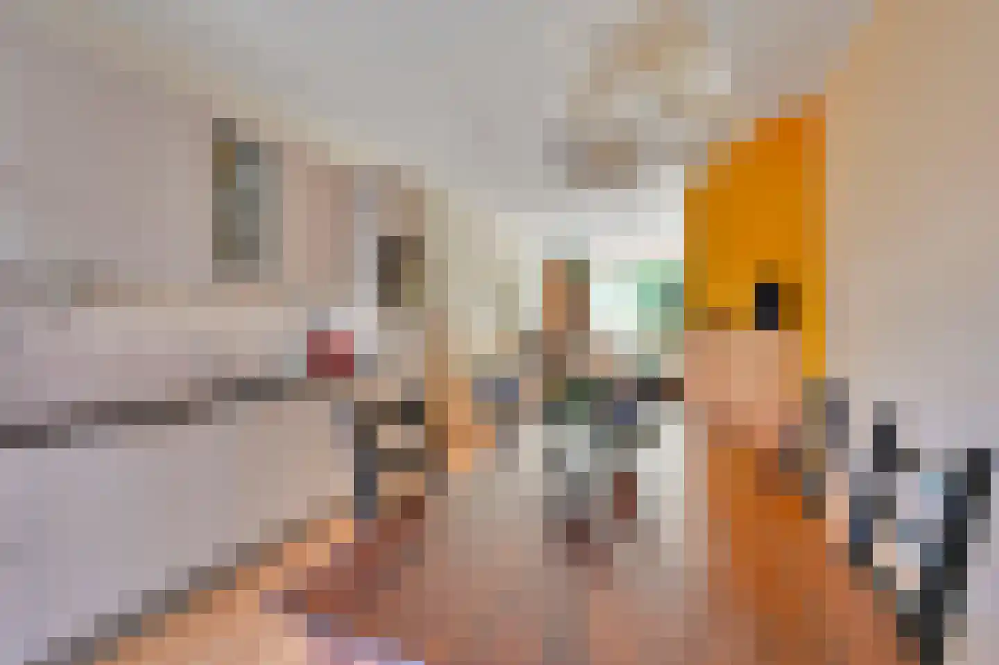 van Naeltwijckstraat 123 Voorburg thumbnail 4