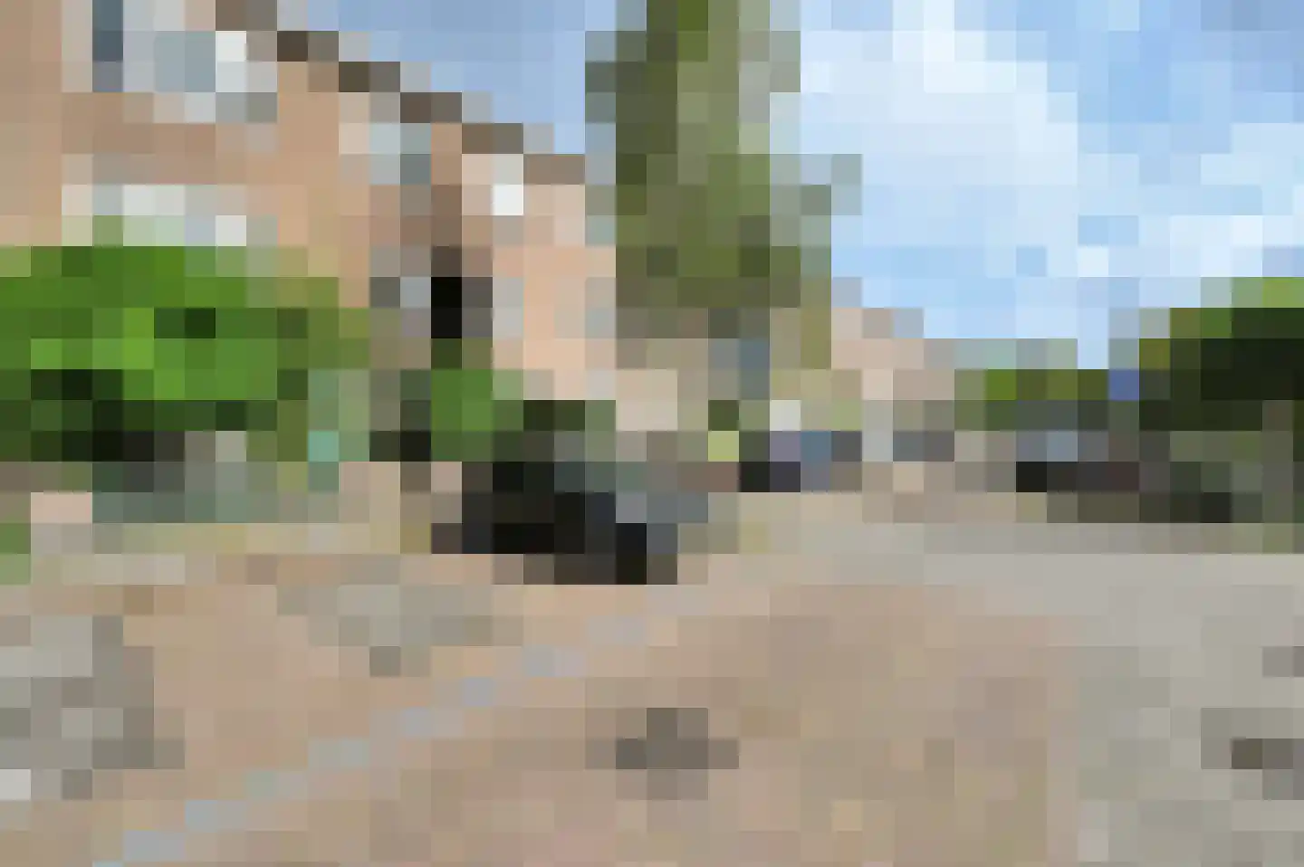 van Naeltwijckstraat 123 Voorburg thumbnail 6