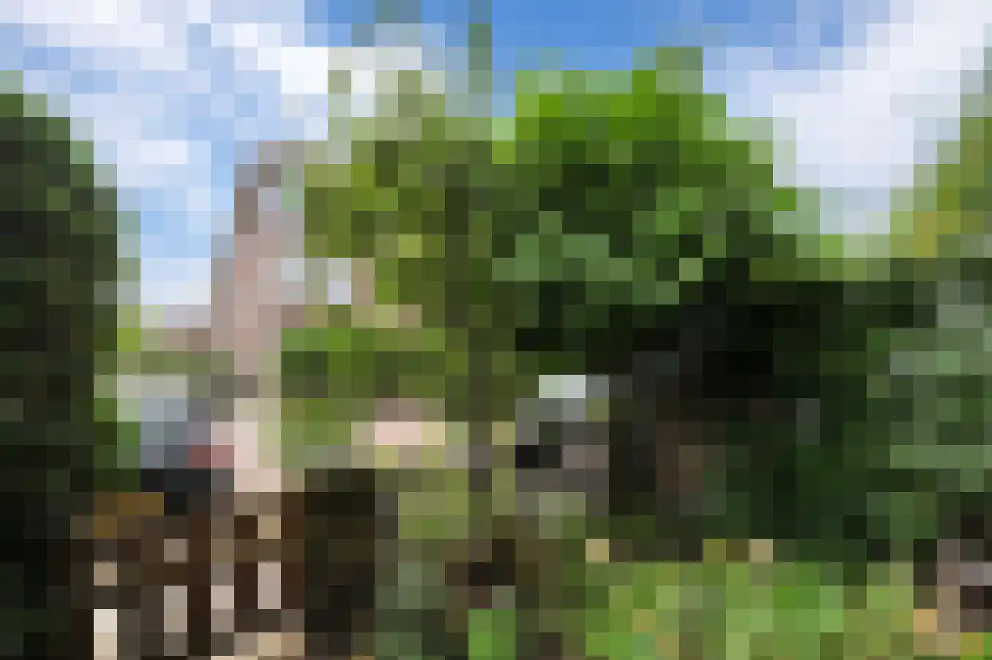 van Naeltwijckstraat 123 Voorburg thumbnail 8