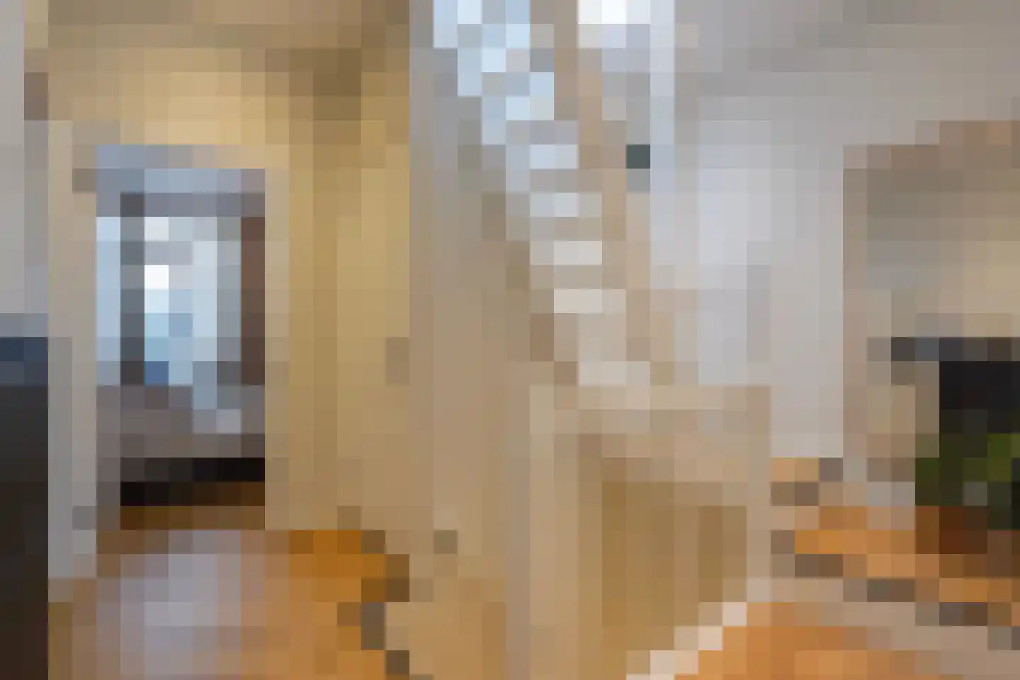 van Naeltwijckstraat 127 Voorburg thumbnail 12