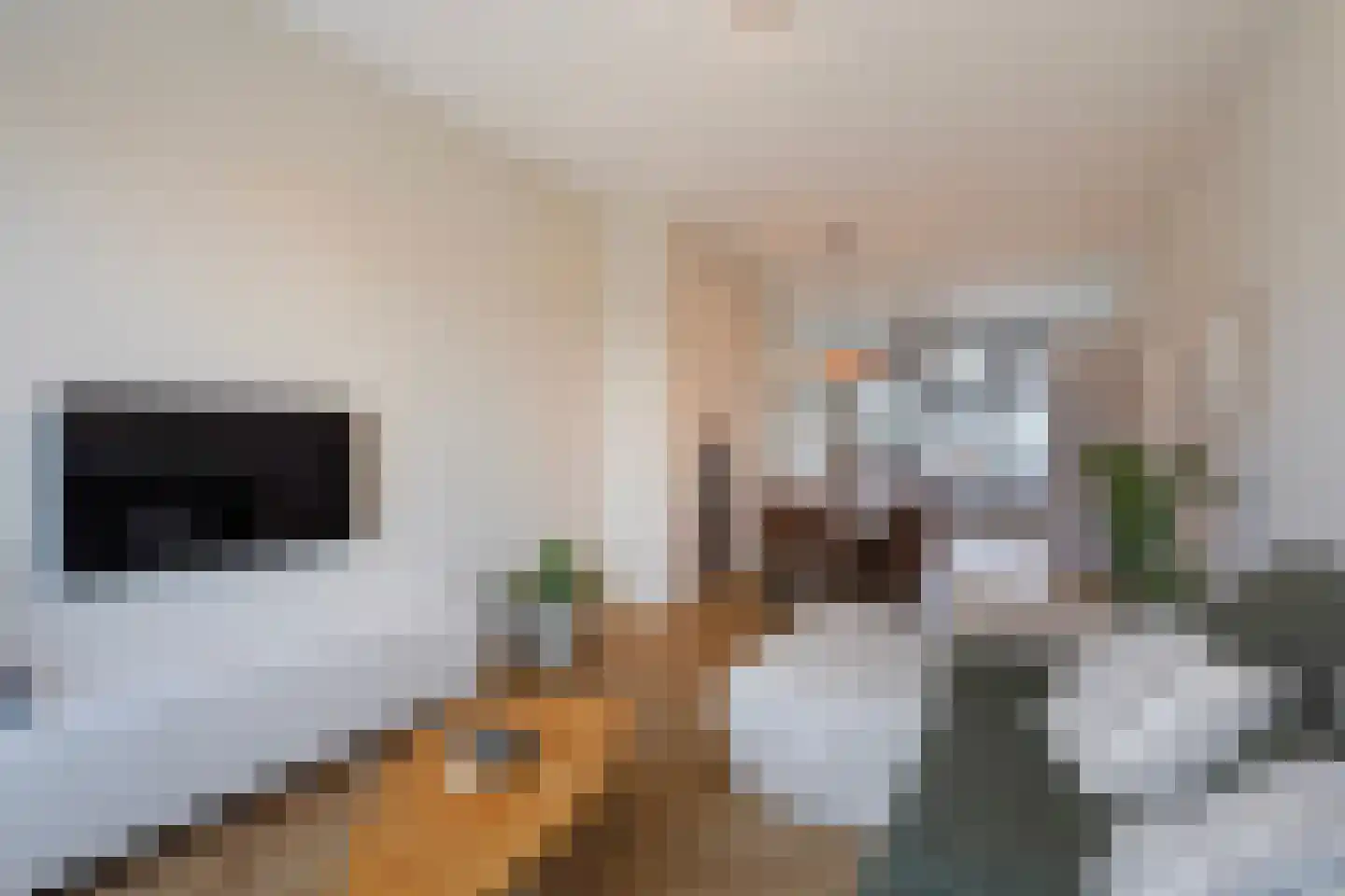 van Naeltwijckstraat 127 Voorburg thumbnail 15