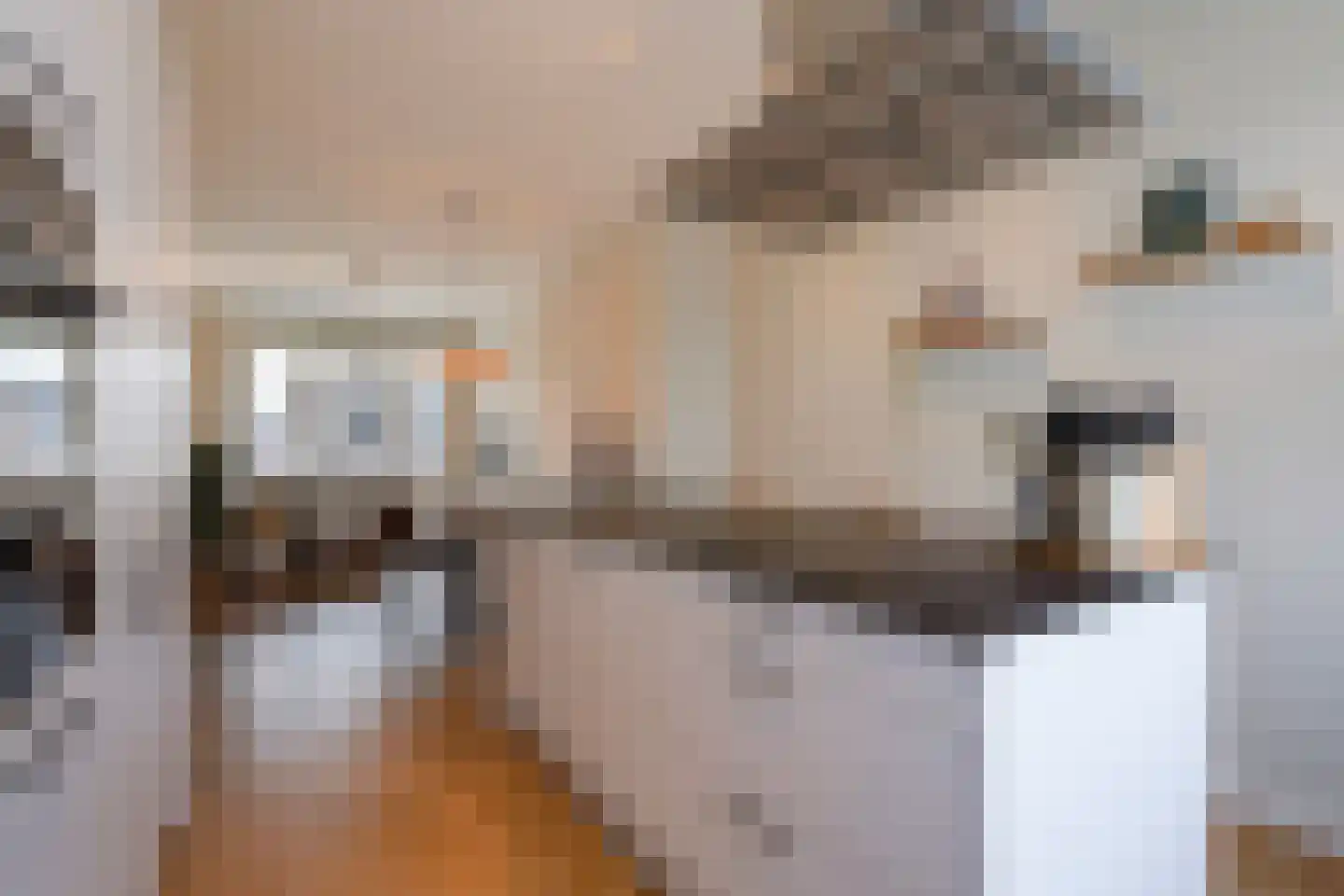 van Naeltwijckstraat 127 Voorburg thumbnail 21