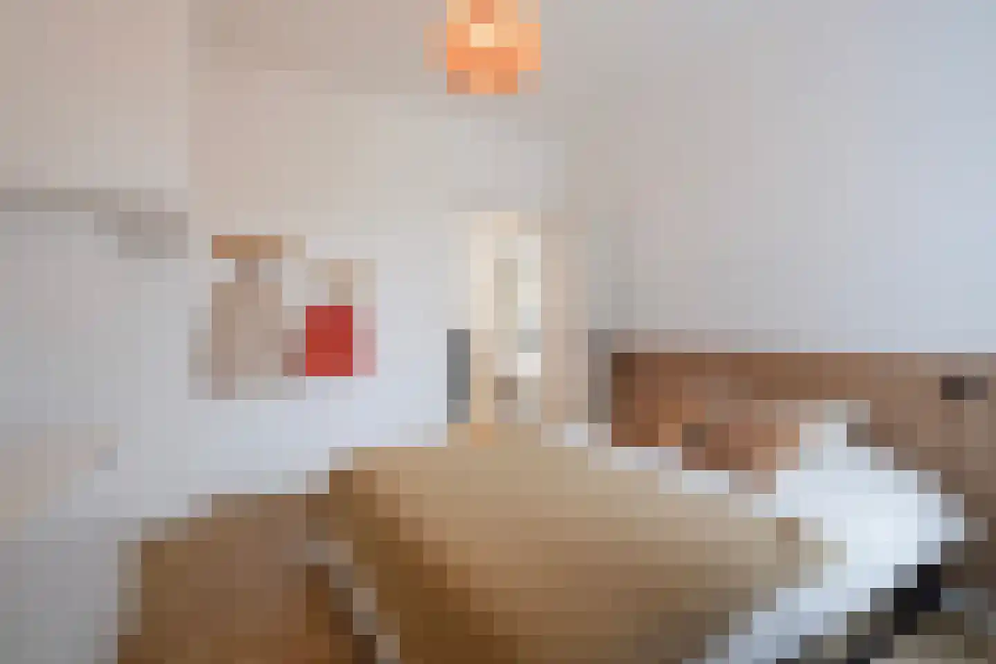van Naeltwijckstraat 127 Voorburg thumbnail 24