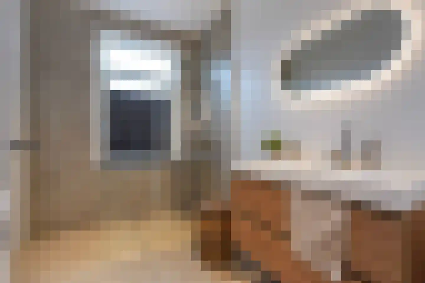 van Naeltwijckstraat 127 Voorburg thumbnail 26