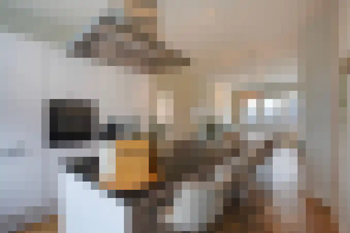 van Naeltwijckstraat 127 Voorburg thumbnail 5