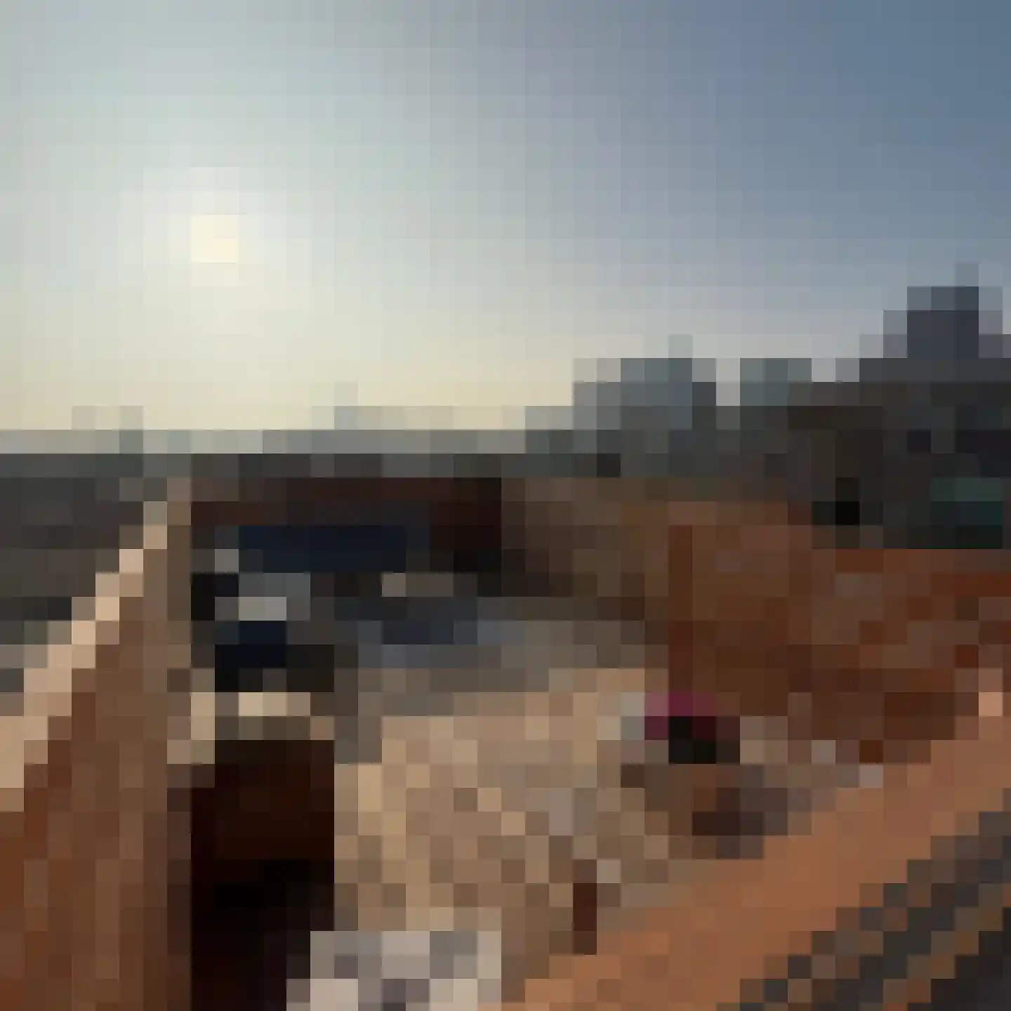van Naeltwijckstraat 127 Voorburg thumbnail 8