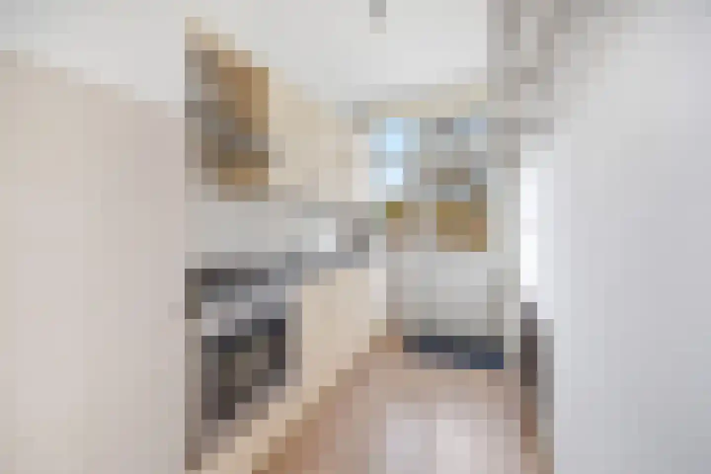 van Naeltwijckstraat 165 Voorburg thumbnail 14