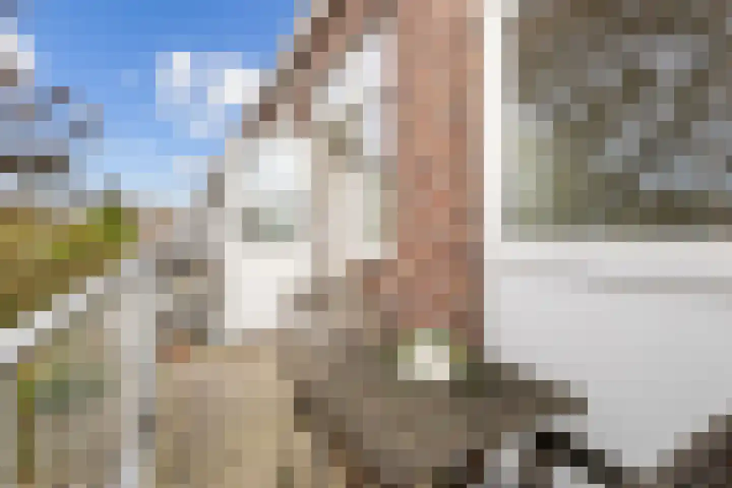 van Naeltwijckstraat 165 Voorburg foto 2