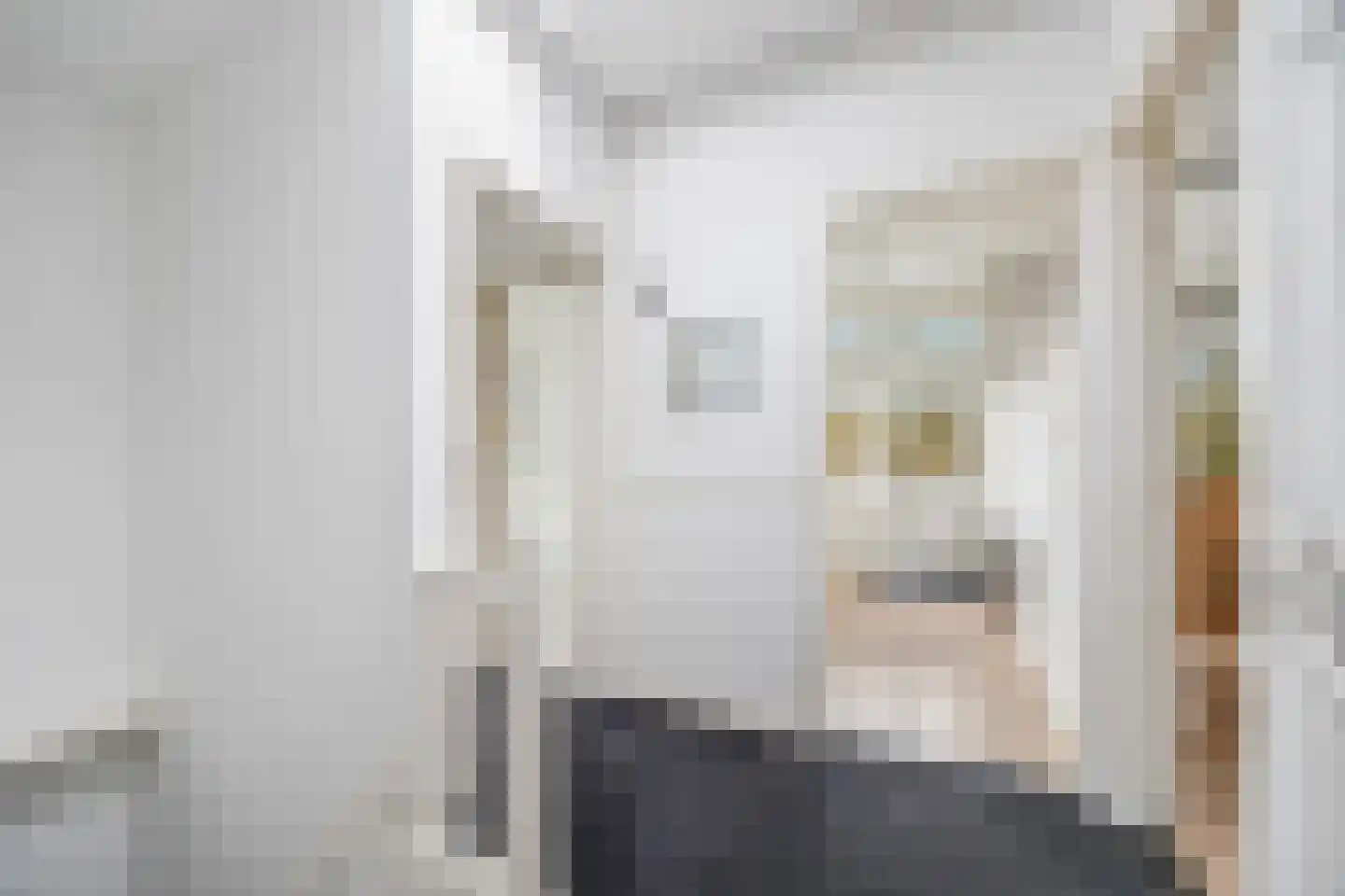 van Naeltwijckstraat 165 Voorburg thumbnail 7