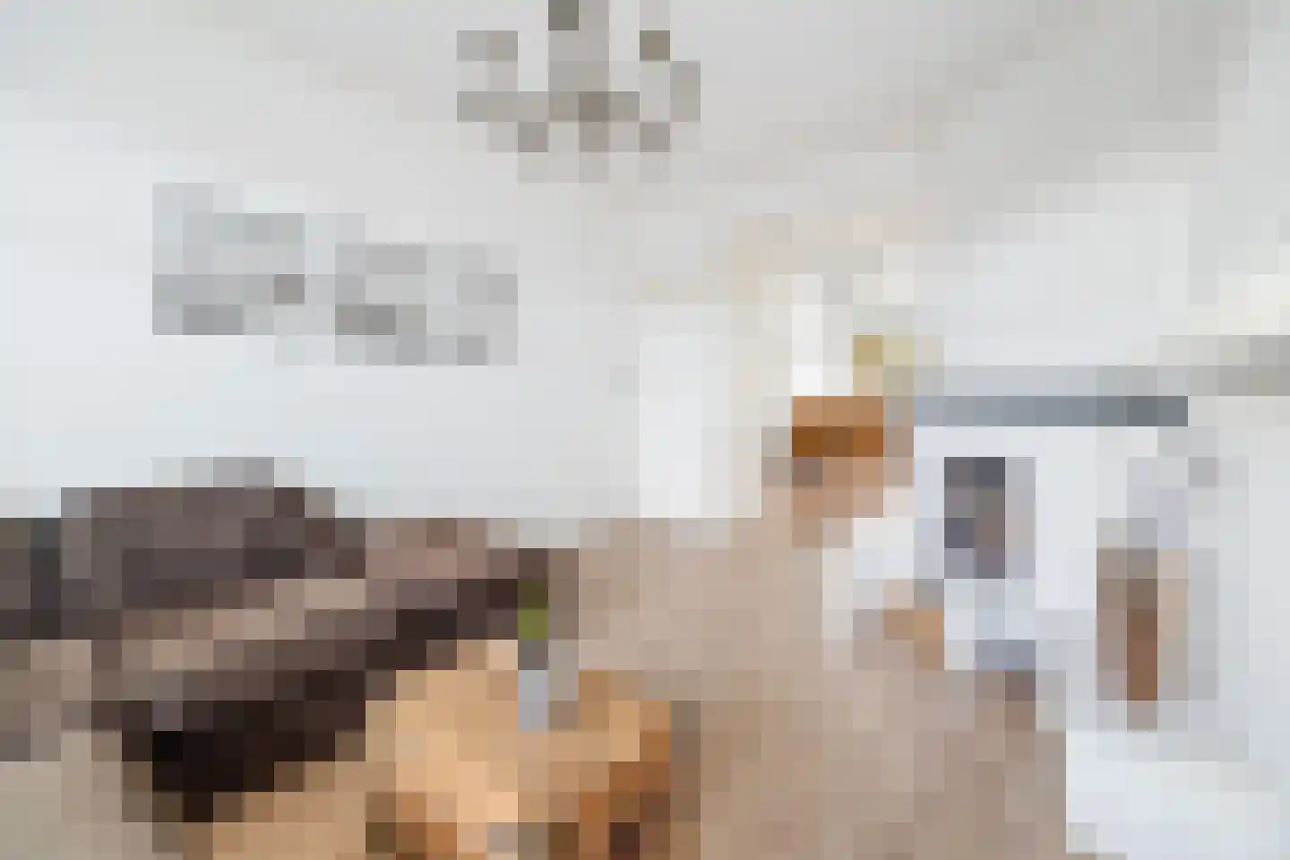 van Naeltwijckstraat 165 Voorburg thumbnail 8