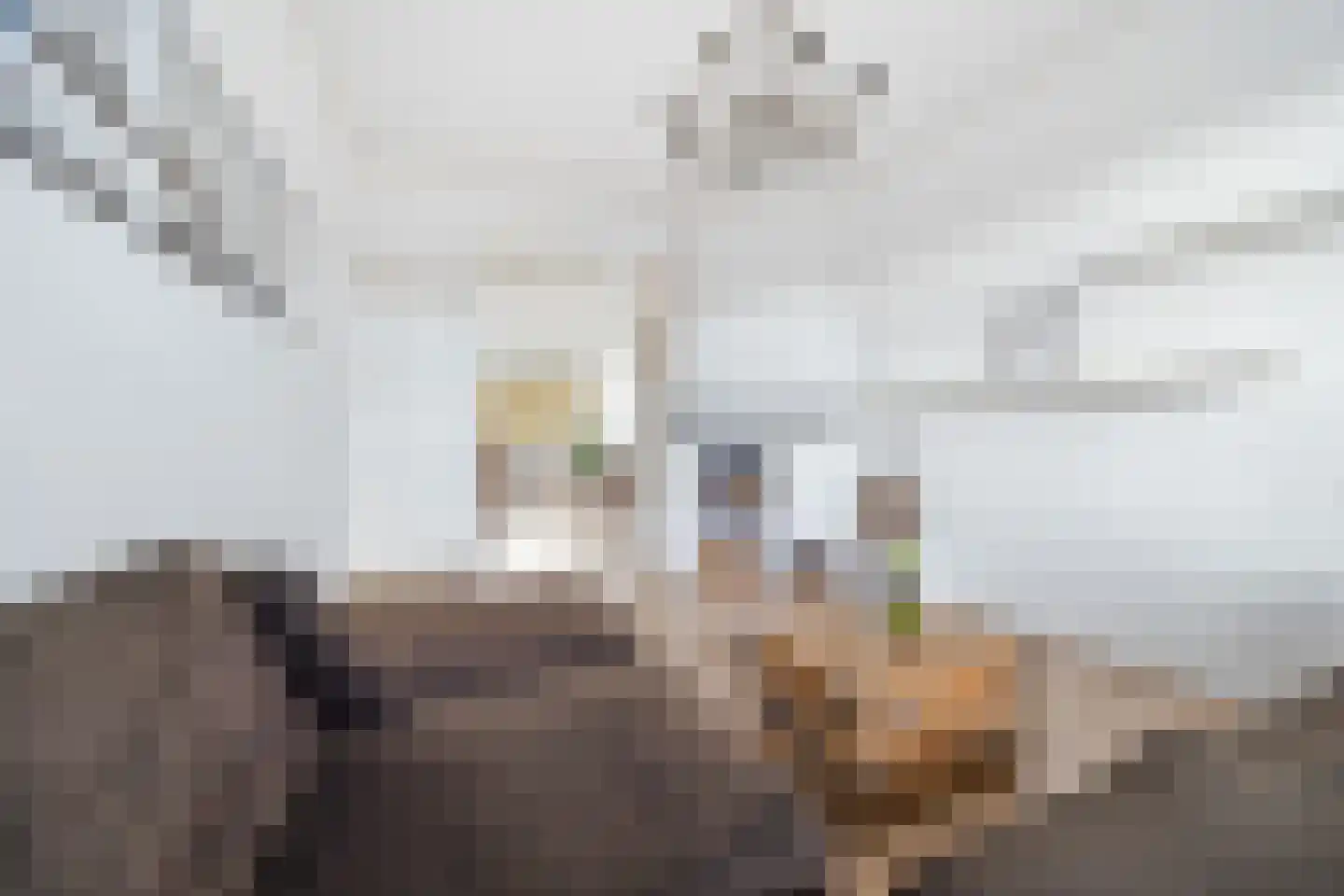 van Naeltwijckstraat 165 Voorburg thumbnail 9