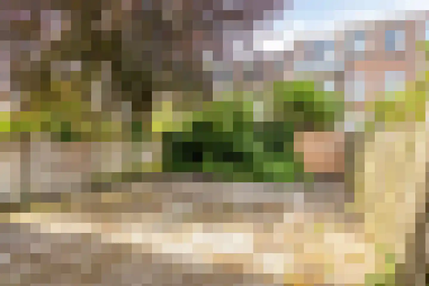 van Naeltwijckstraat 171 Voorburg thumbnail 10