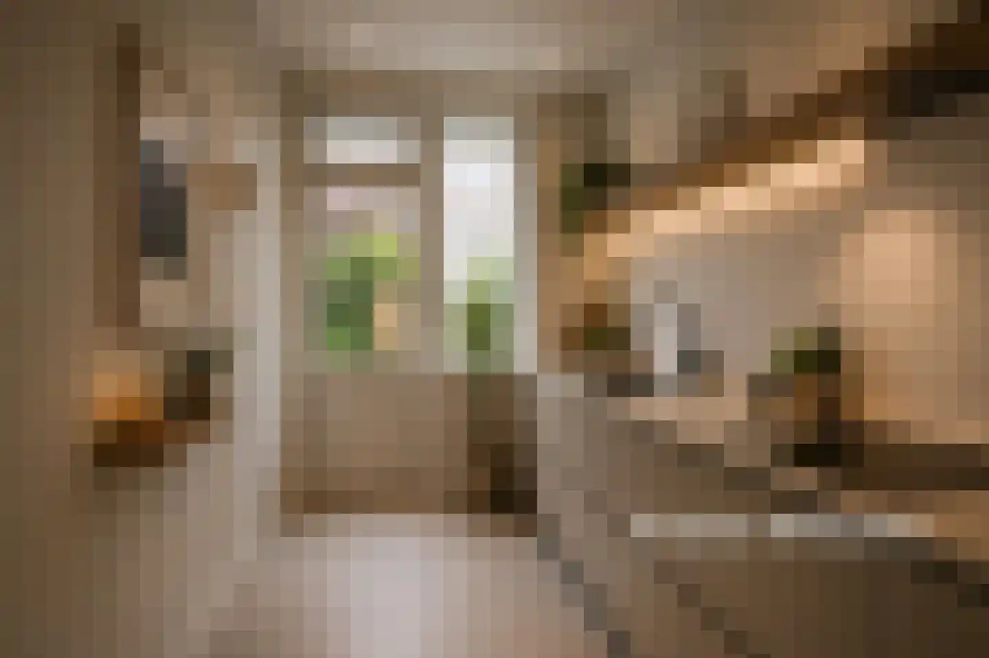 van Naeltwijckstraat 171 Voorburg thumbnail 11