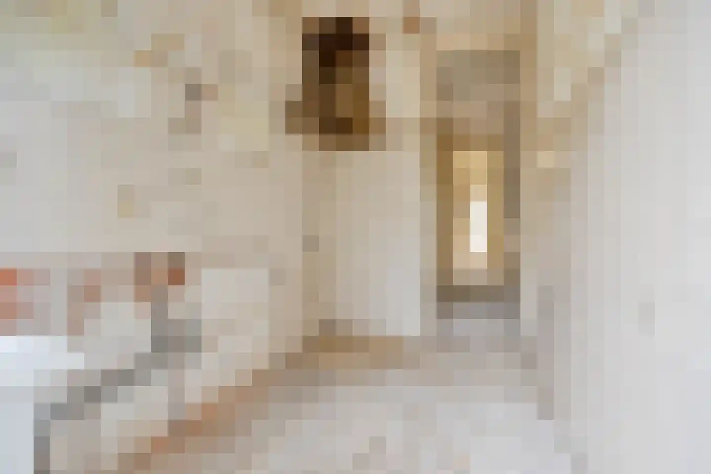 van Naeltwijckstraat 171 Voorburg thumbnail 13