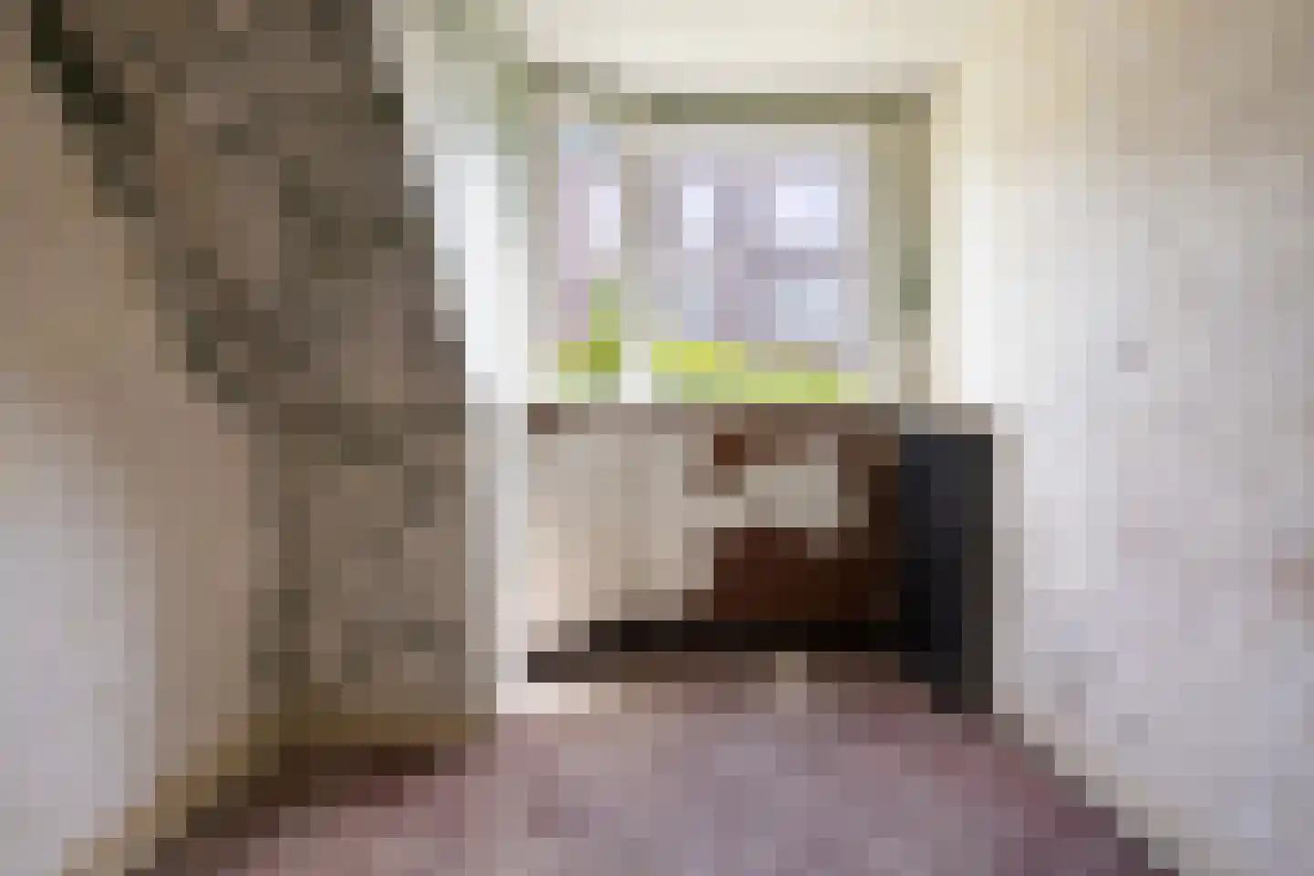 van Naeltwijckstraat 171 Voorburg thumbnail 14