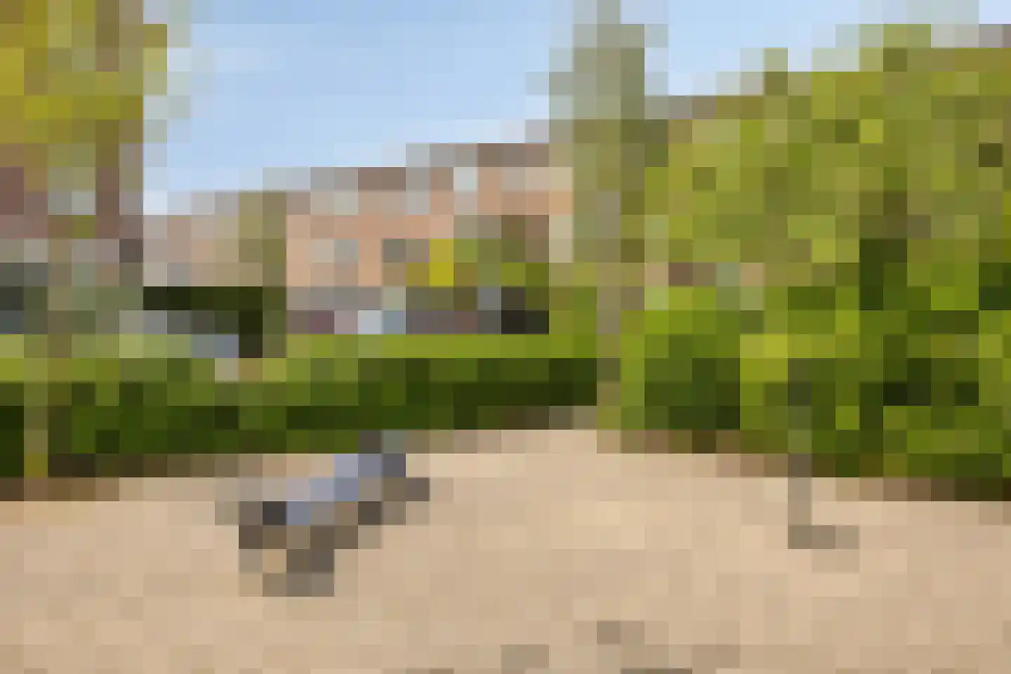 van Naeltwijckstraat 171 Voorburg thumbnail 20