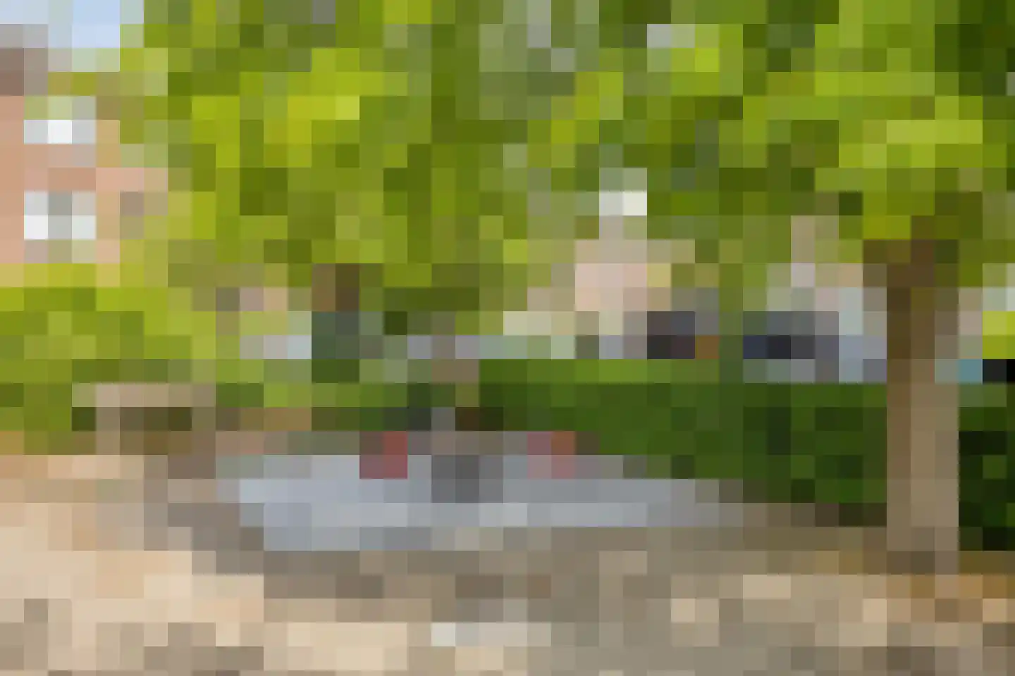 van Naeltwijckstraat 171 Voorburg thumbnail 21