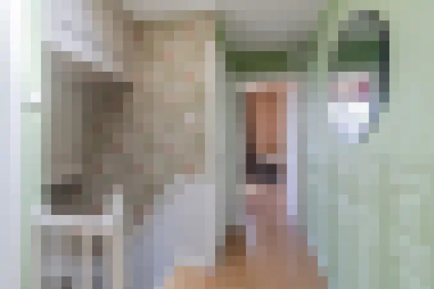 van Naeltwijckstraat 175 Voorburg thumbnail 10