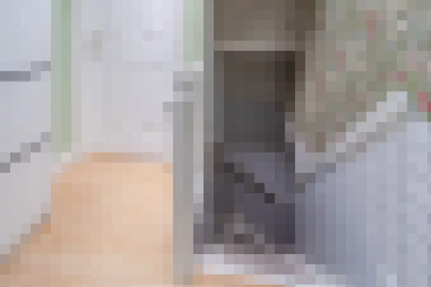 van Naeltwijckstraat 175 Voorburg thumbnail 11