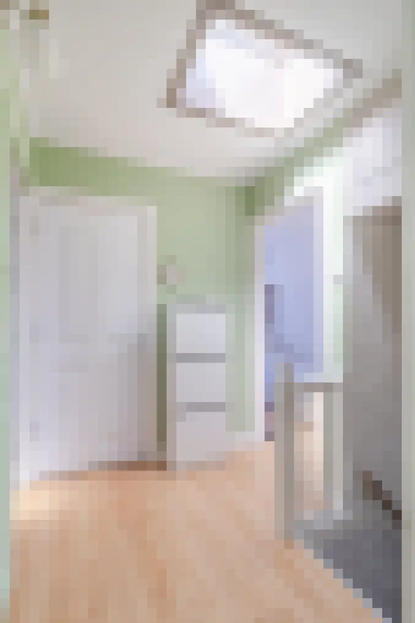 van Naeltwijckstraat 175 Voorburg thumbnail 12