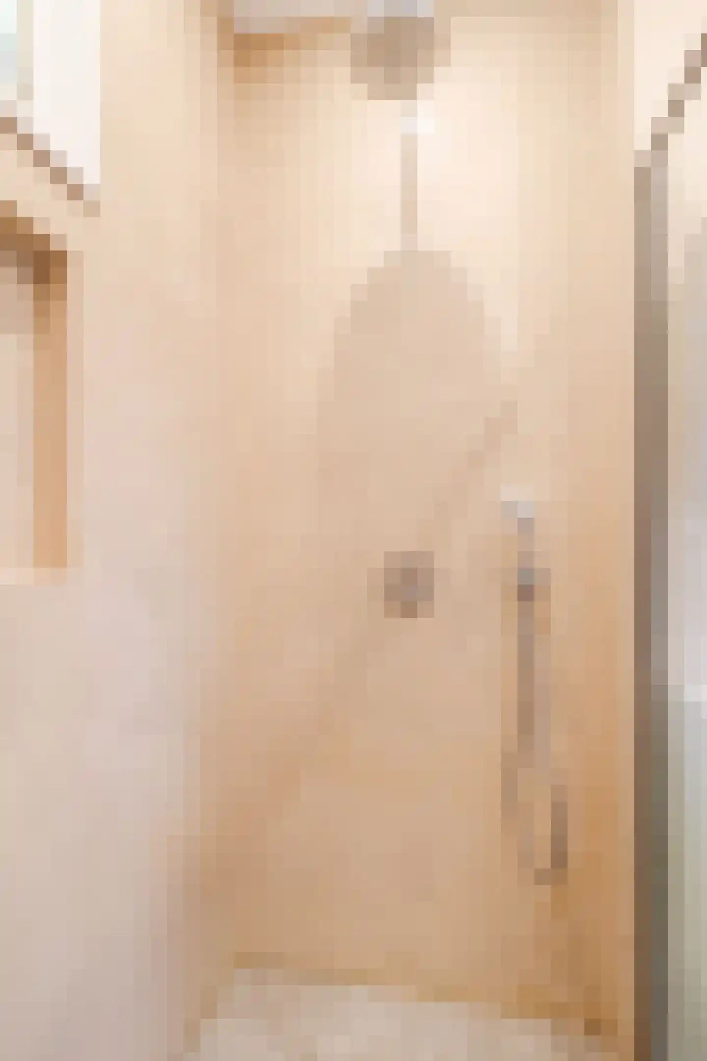 van Naeltwijckstraat 175 Voorburg thumbnail 33