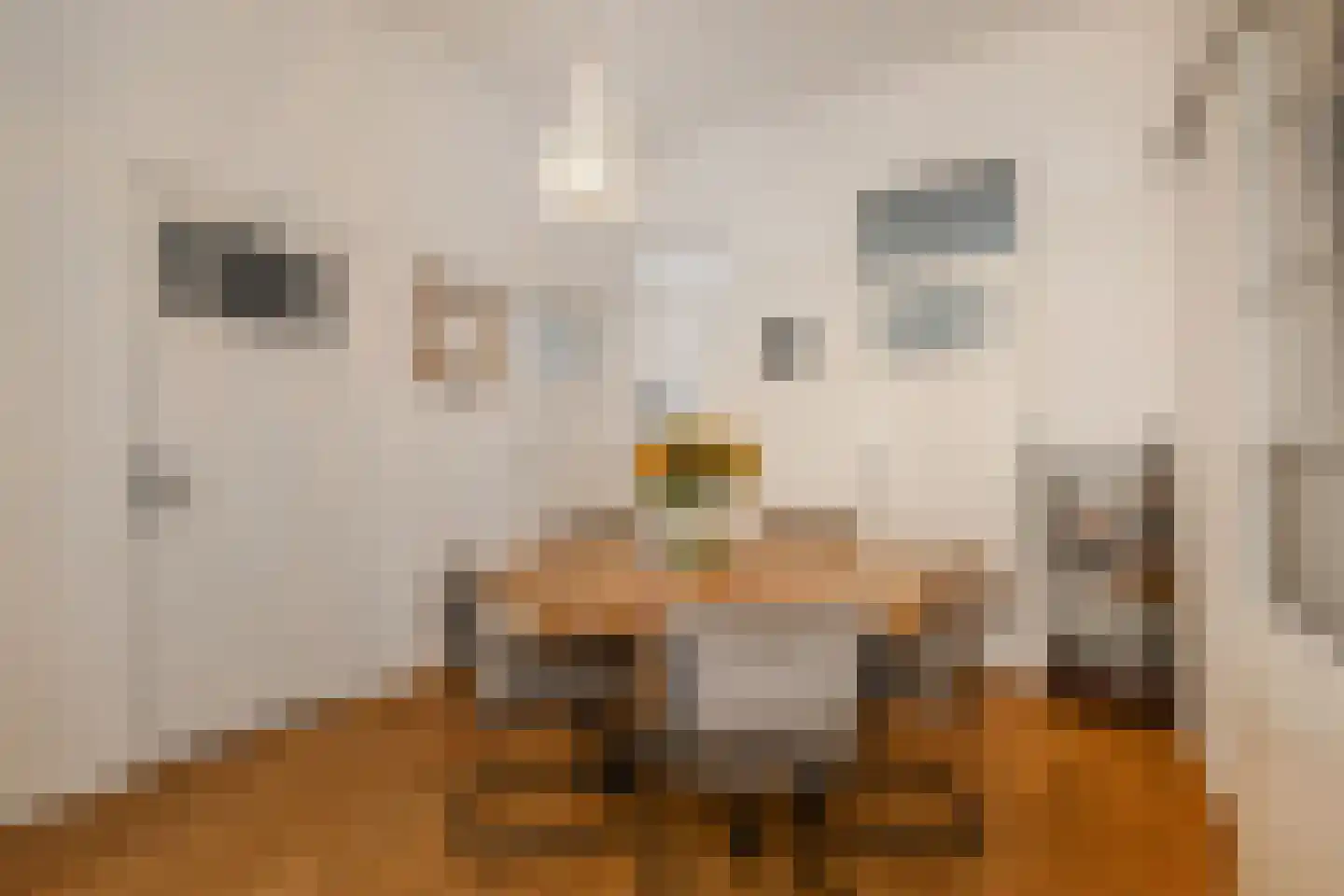 van Naeltwijckstraat 235 Voorburg thumbnail 11