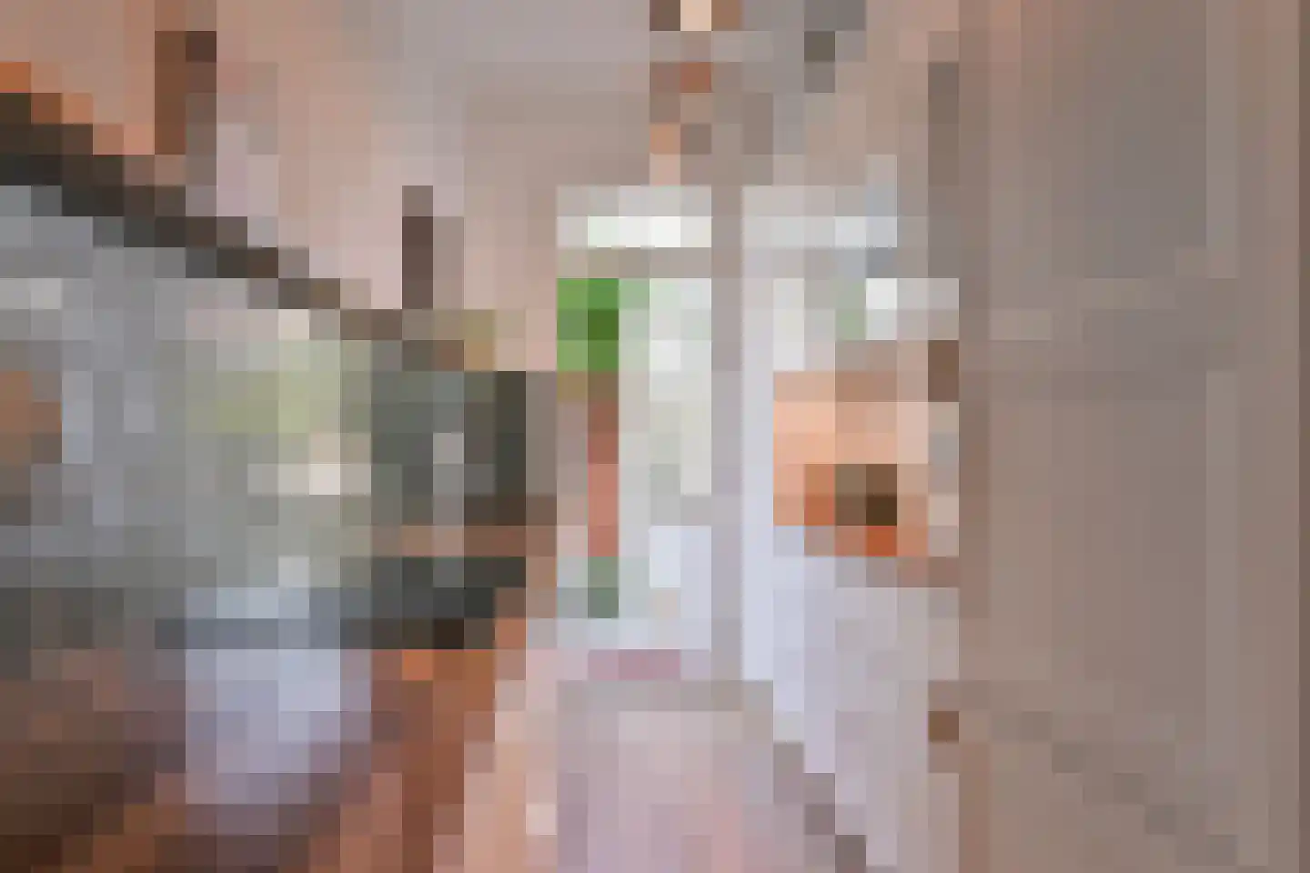 van Naeltwijckstraat 235 Voorburg thumbnail 12