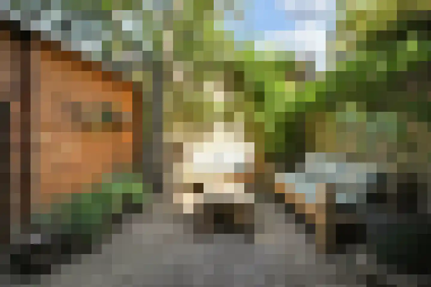 van Naeltwijckstraat 235 Voorburg thumbnail 28