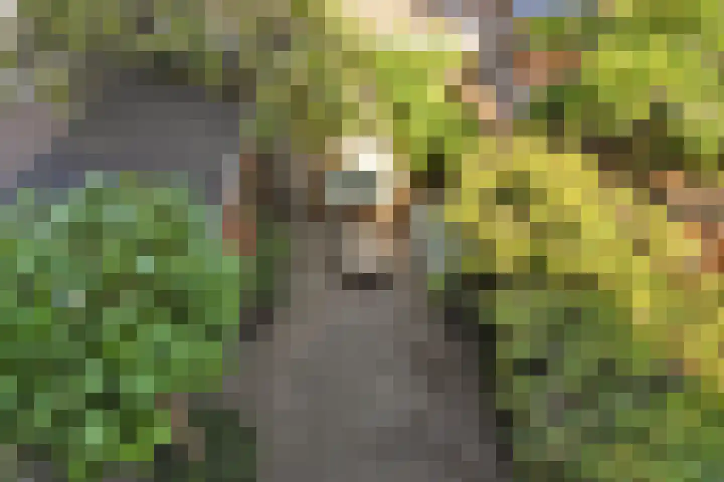 van Naeltwijckstraat 235 Voorburg thumbnail 37