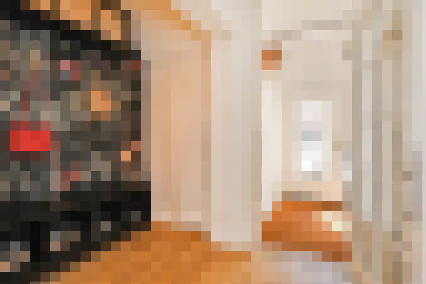 van Naeltwijckstraat 235 Voorburg thumbnail 38