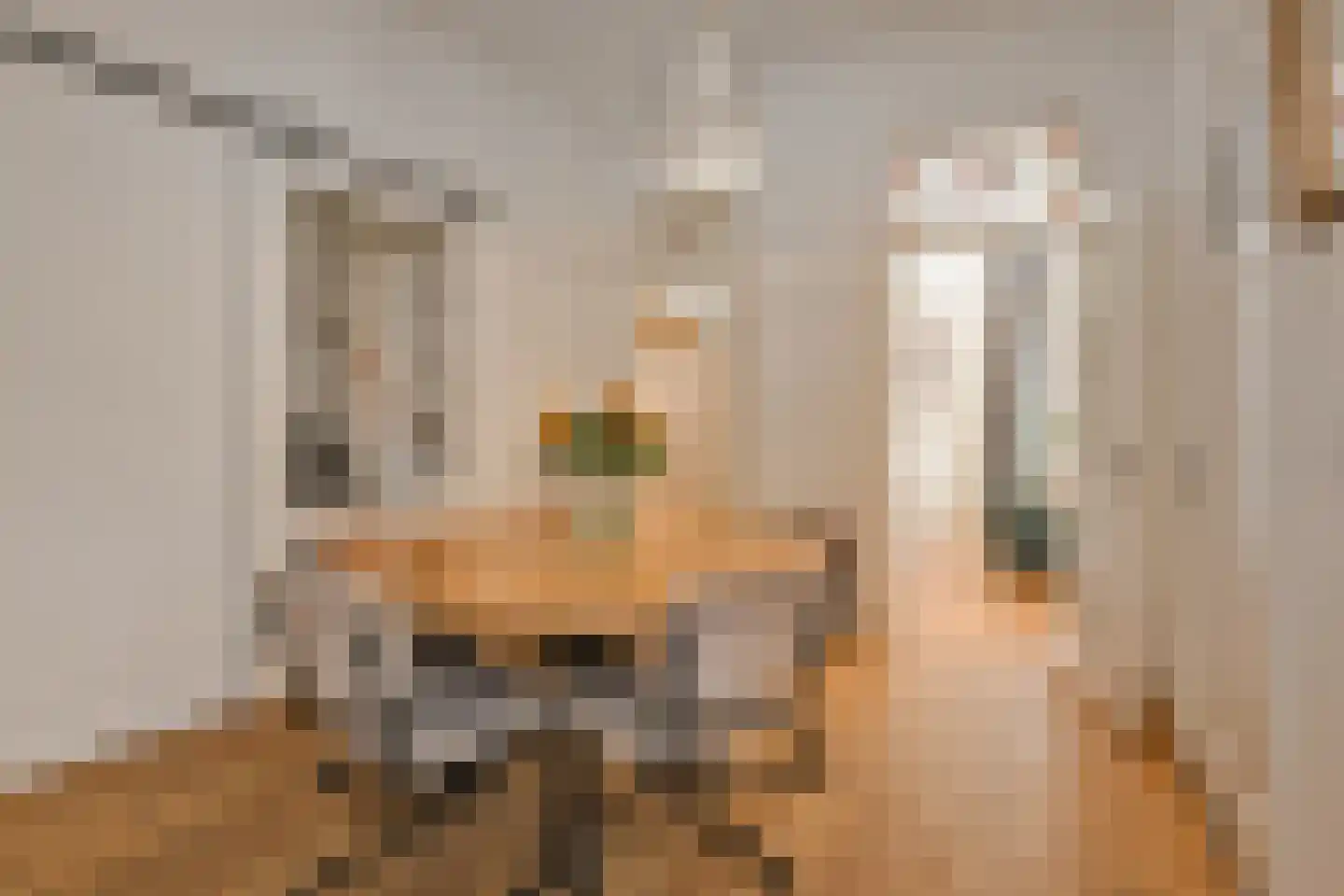van Naeltwijckstraat 235 Voorburg thumbnail 4