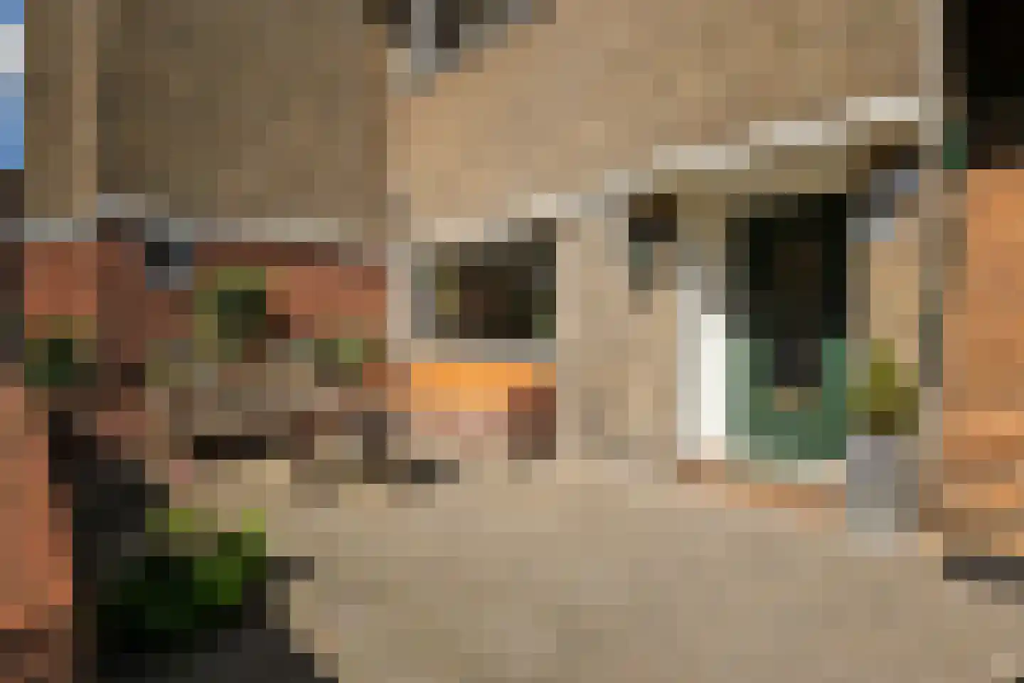 van Naeltwijckstraat 235 Voorburg thumbnail 42