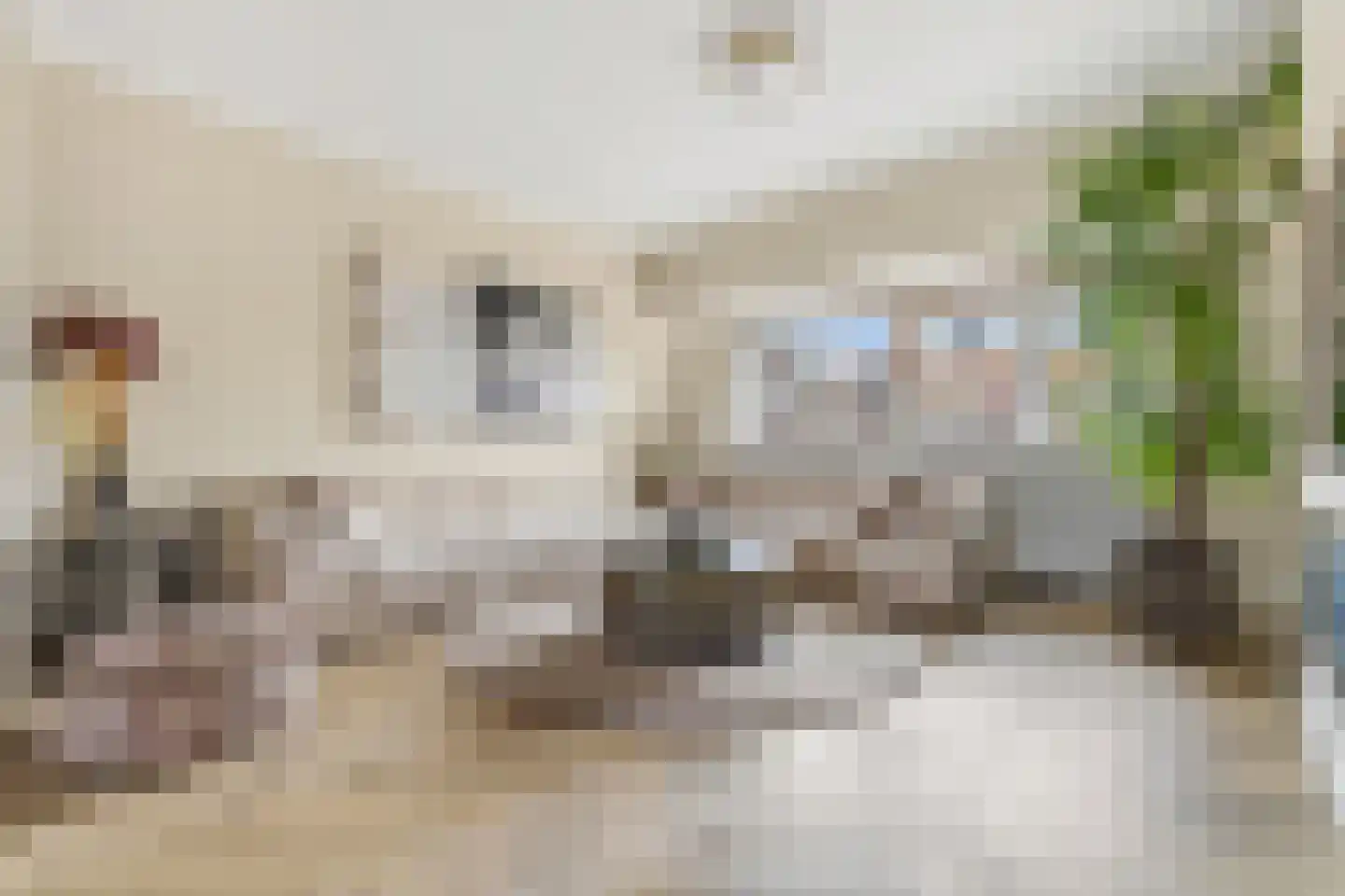 van Naeltwijckstraat 237 Voorburg thumbnail 11