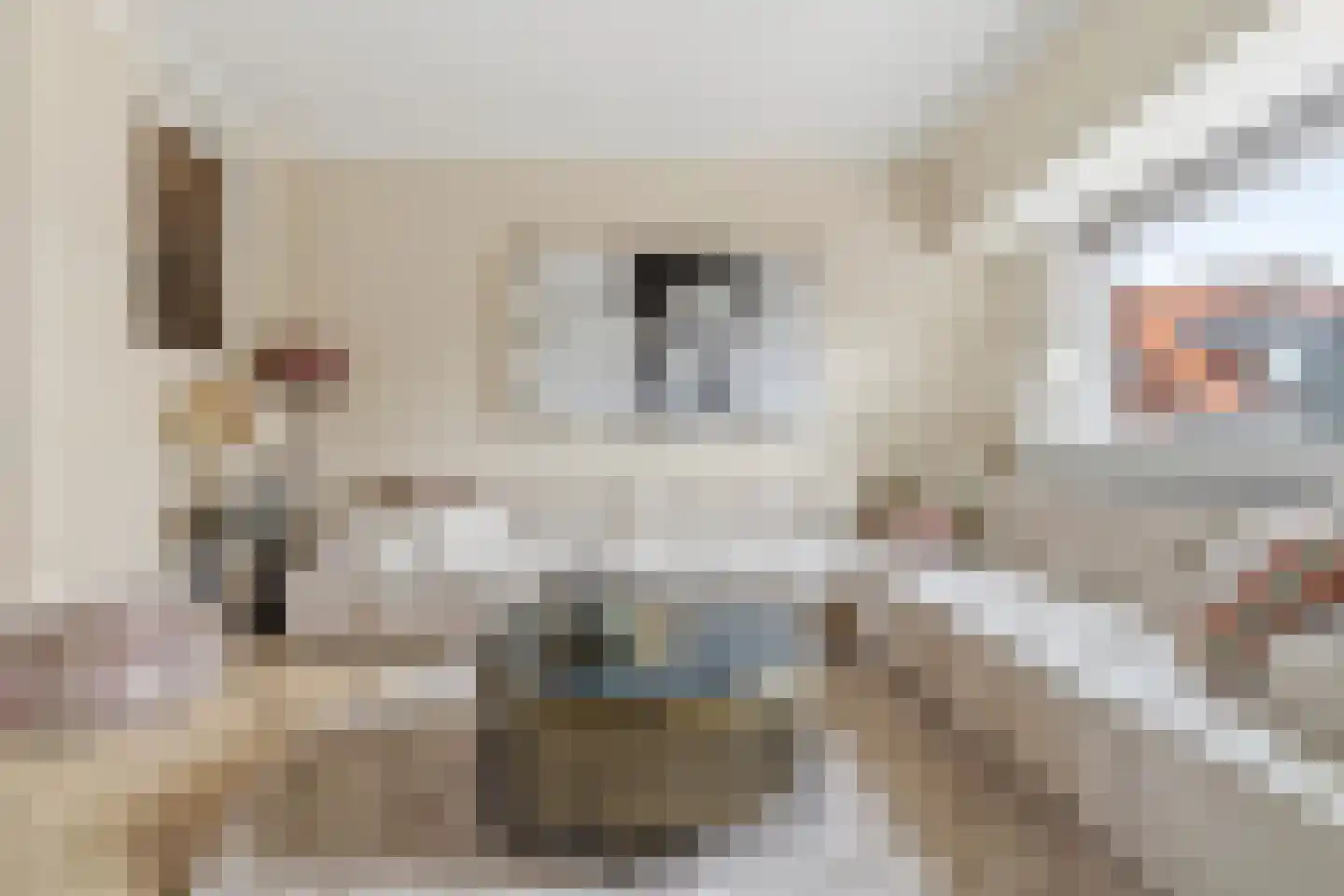 van Naeltwijckstraat 237 Voorburg thumbnail 12