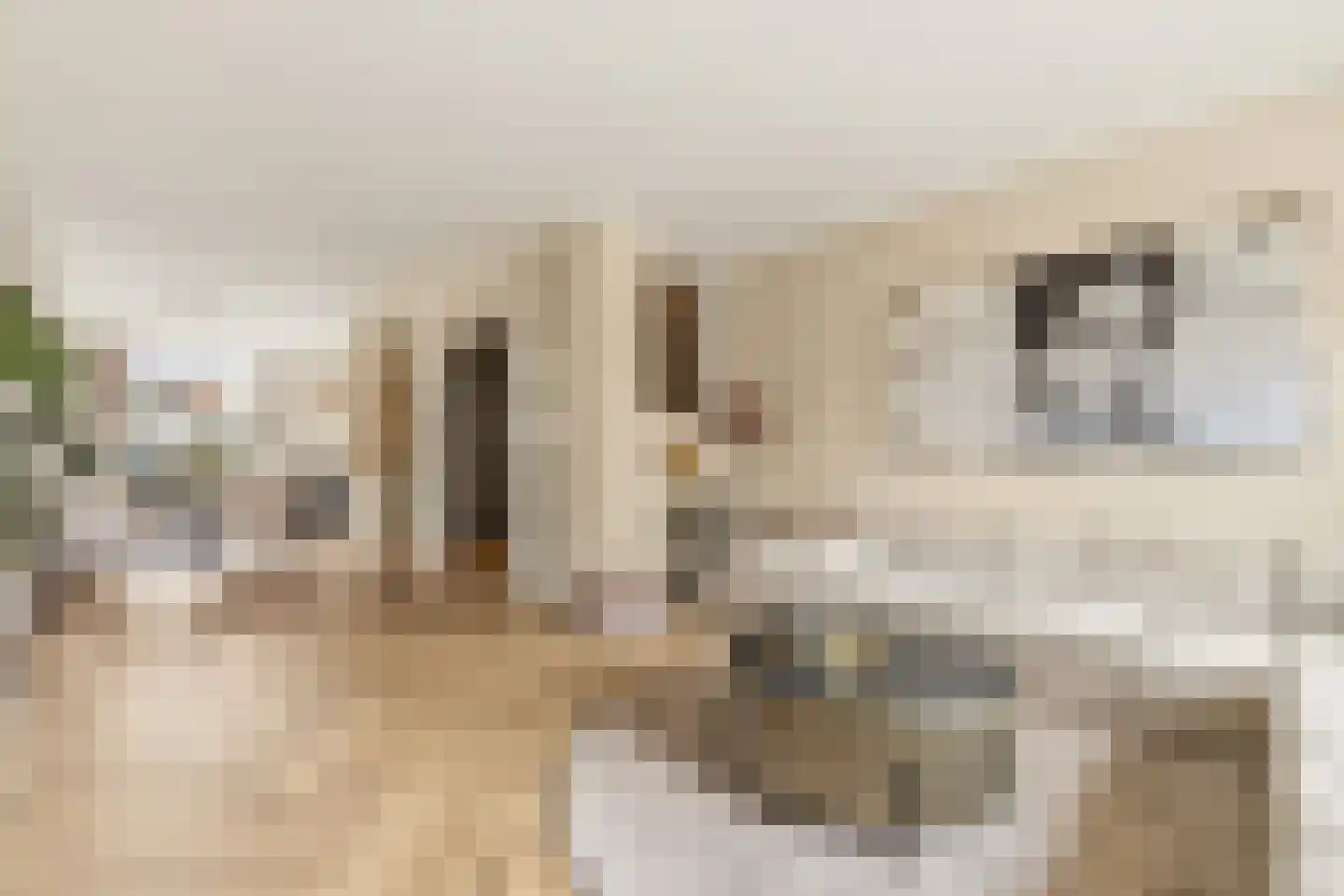 van Naeltwijckstraat 237 Voorburg thumbnail 13