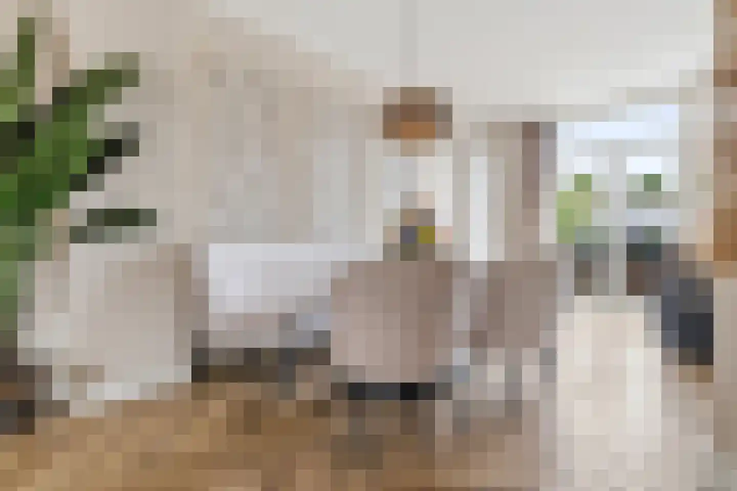 van Naeltwijckstraat 237 Voorburg thumbnail 15