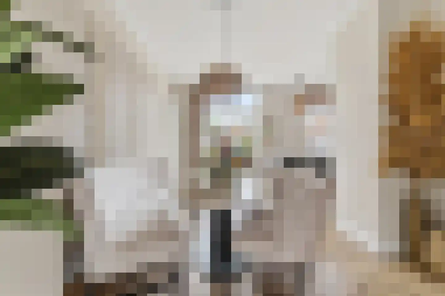 van Naeltwijckstraat 237 Voorburg thumbnail 16