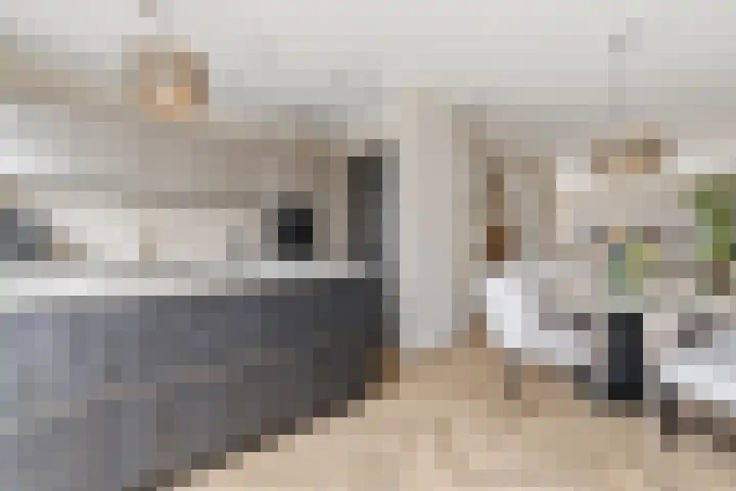 van Naeltwijckstraat 237 Voorburg thumbnail 18