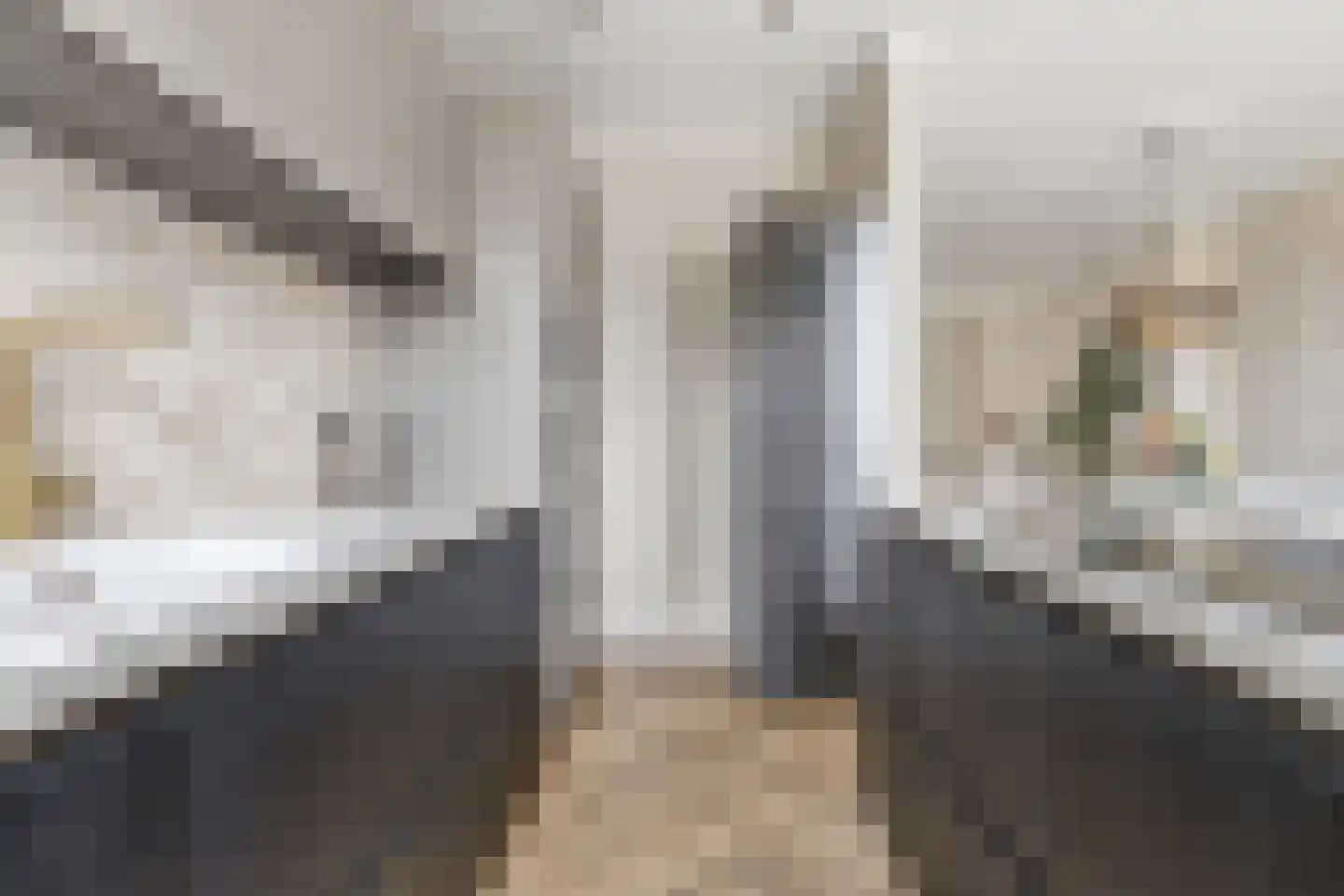 van Naeltwijckstraat 237 Voorburg thumbnail 21
