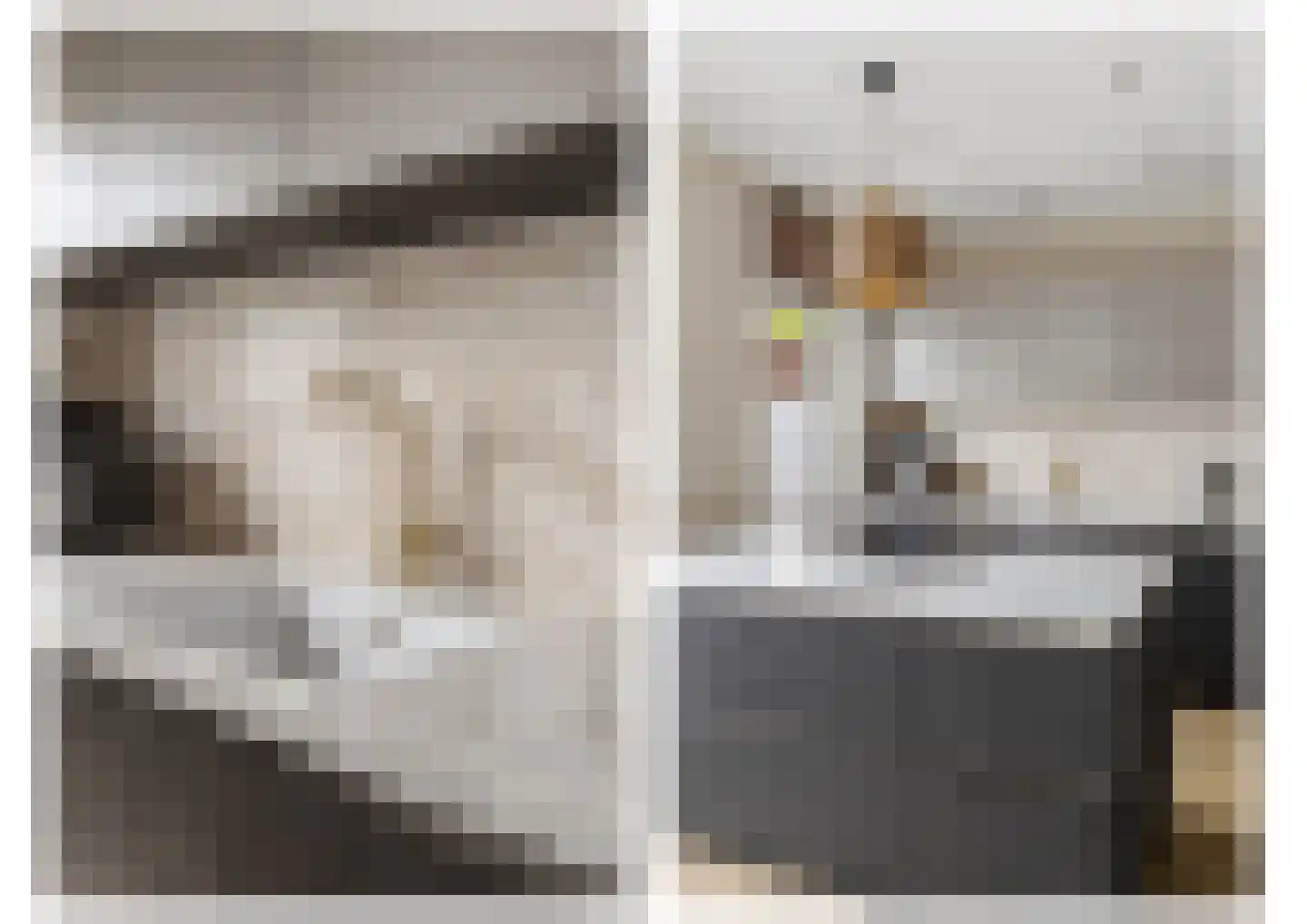 van Naeltwijckstraat 237 Voorburg thumbnail 23