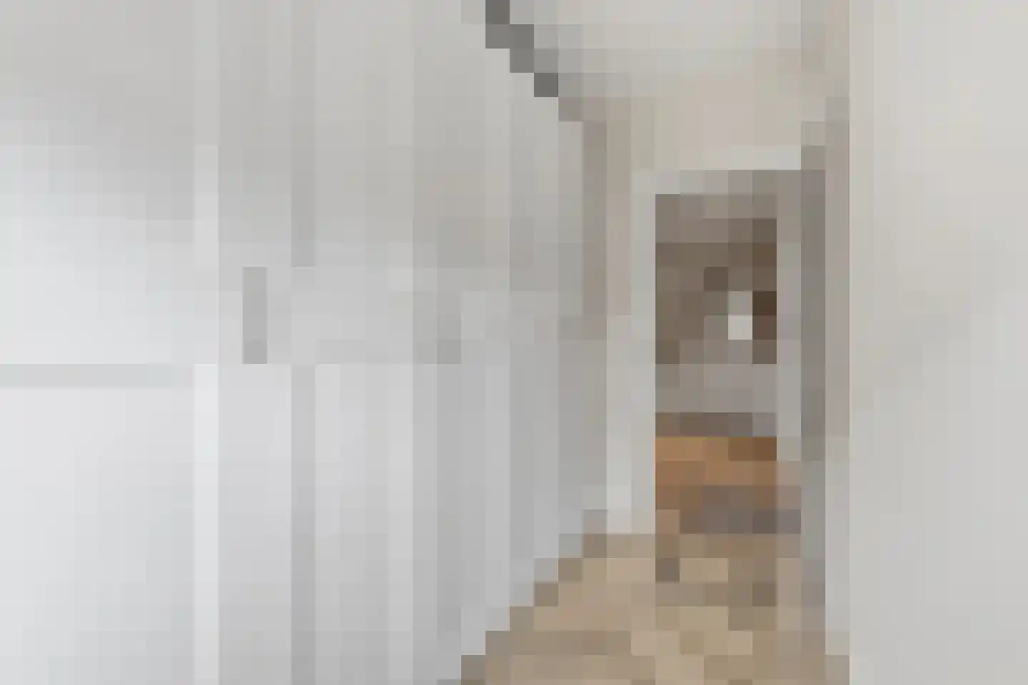 van Naeltwijckstraat 237 Voorburg thumbnail 27
