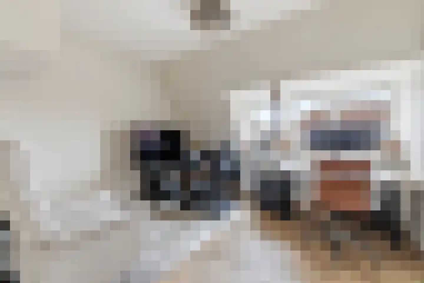 van Naeltwijckstraat 237 Voorburg thumbnail 31