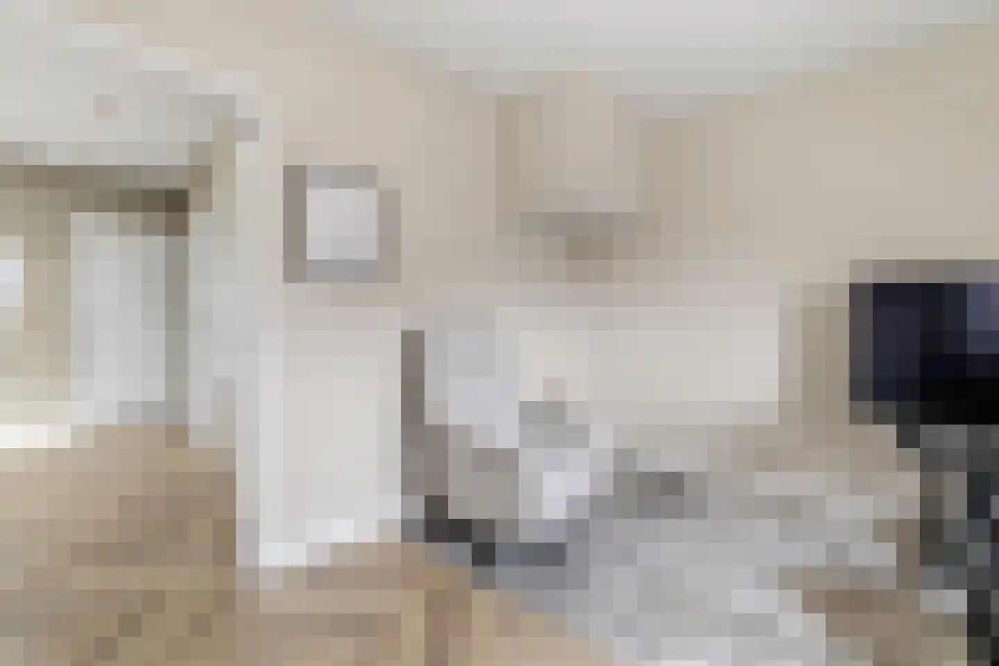 van Naeltwijckstraat 237 Voorburg thumbnail 33